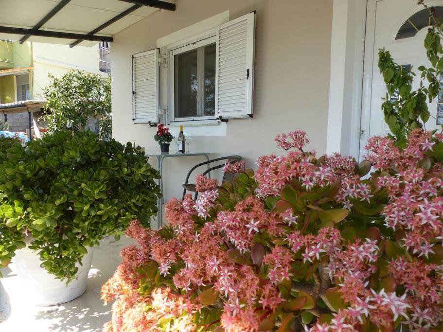 Michaels Flower House Κανάλι Εξωτερικό φωτογραφία
